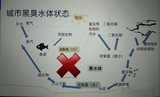 江蘇億元投資治污新技術(shù) 石墨烯能否治理黑臭水體？
