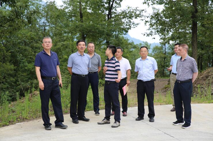 中國能建總經(jīng)理、黨委副書記孫洪水一行赴陜西鎮(zhèn)巴縣調(diào)研定點扶貧工作