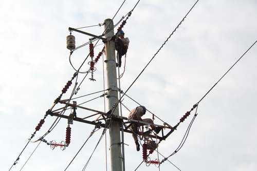 國(guó)網(wǎng)霞浦供電公司加裝線路避雷器，保障兩節(jié)期間電網(wǎng)可靠性