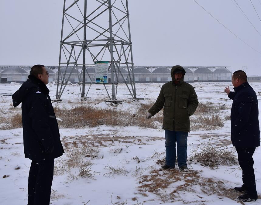 二連浩特供電公司：開展客戶側(cè)安全檢查，確?？诎犊蛻粝楹兔髁吝^春節(jié)
