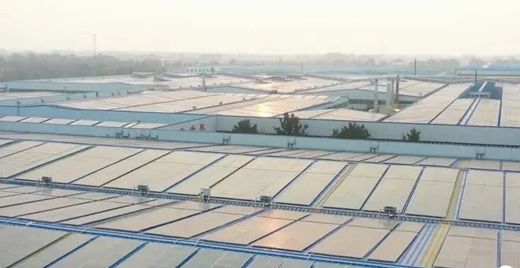 投資達9億！山東寒亭區(qū)447MW整縣分布式光伏項目正式啟動