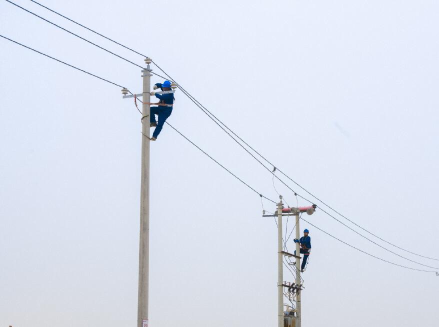 阿拉善供電公司：電網(wǎng)健康“體檢”，從登桿開始