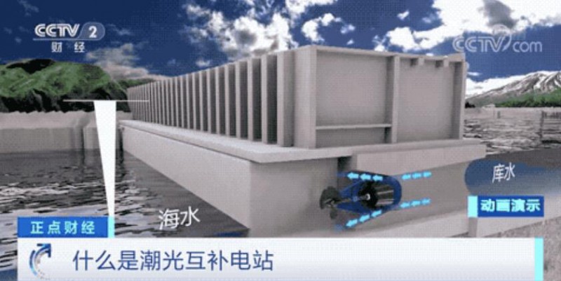 年均發(fā)電量超1億度！央視財經(jīng)重點關(guān)注我國“首座”潮光互補型光伏電站