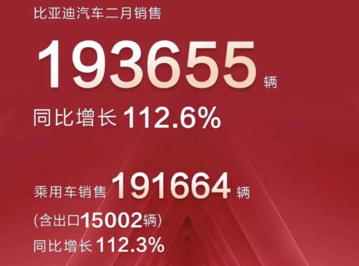 2月新能源車企成績(jī)單出爐，比亞迪一騎絕塵