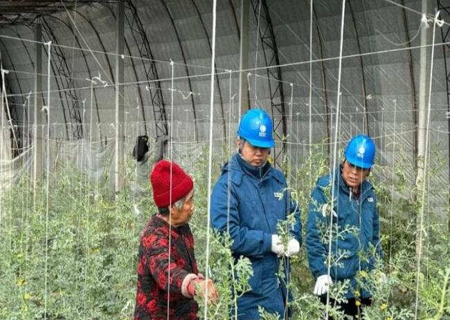 山東惠民供電公司：走訪種植大棚，優(yōu)化農(nóng)業(yè)營(yíng)商環(huán)境