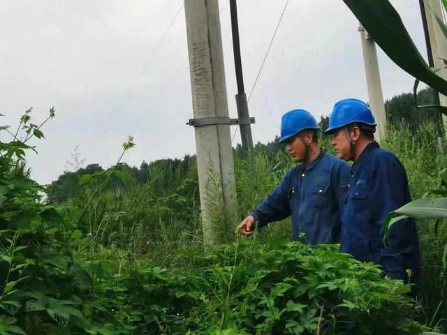 國網(wǎng)長春供電公司積極應(yīng)對極端天氣，確保線路設(shè)備穩(wěn)定運行