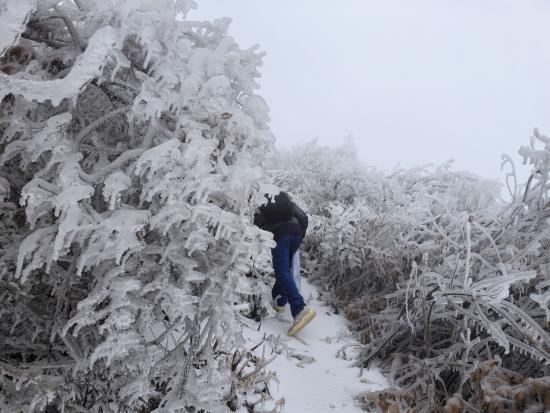 【新春走基層】迎雪而上攻堅行，奮戰(zhàn)不息護光明