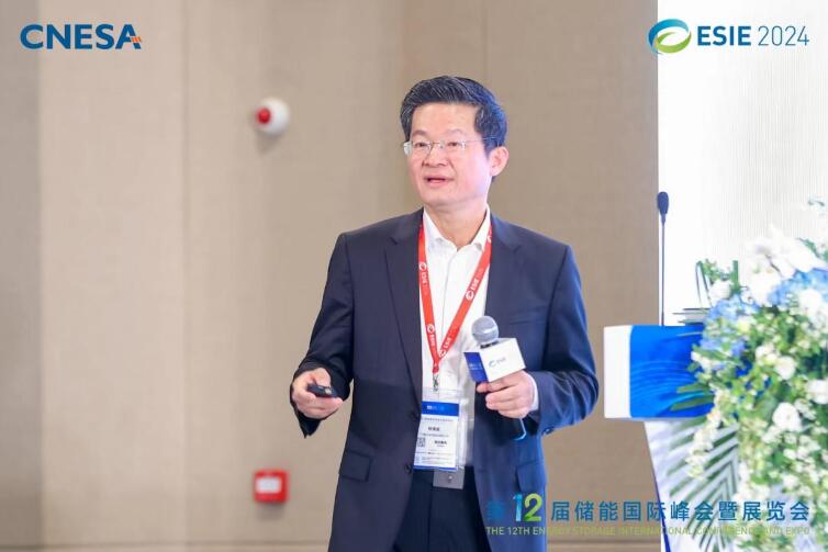 林澤波：儲能企業(yè)出海不是價格競爭，而是以定制優(yōu)質(zhì)產(chǎn)品和服務(wù)實現(xiàn)可持續(xù)發(fā)展