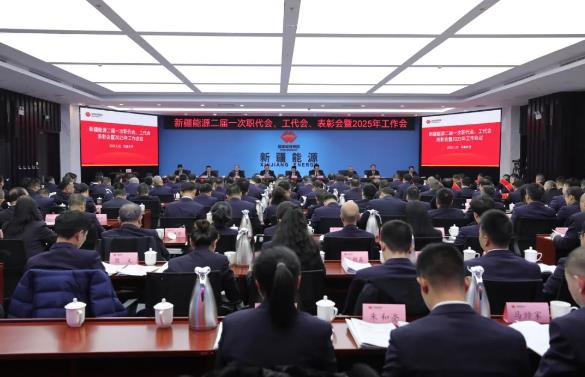 國能新疆能源召開二屆一次職代會、工代會、表彰會暨2025年工作會