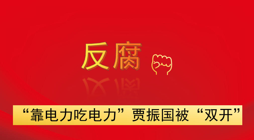 “靠電力吃電力”  賈振國被“雙開”